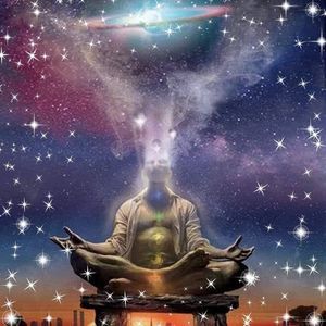 Meet your Posher, Faviola